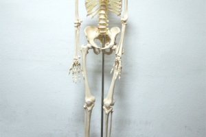 Schulungsmaterialien